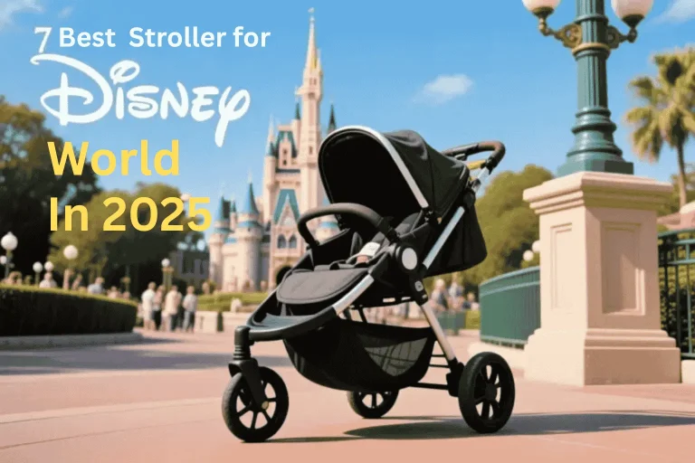 best stroller for disney world